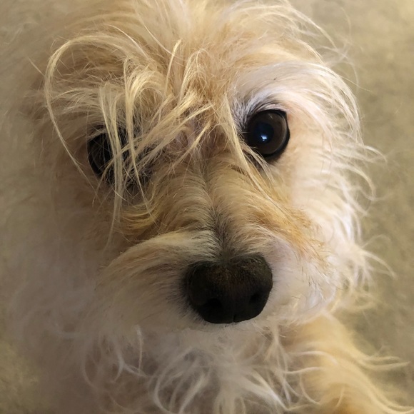 Meet your Posher, Kelly - Picture 10 of 16